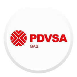 PDVSA Gas logo